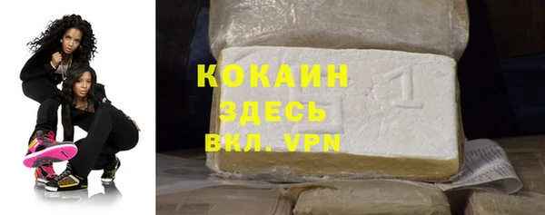 соль ск Алзамай