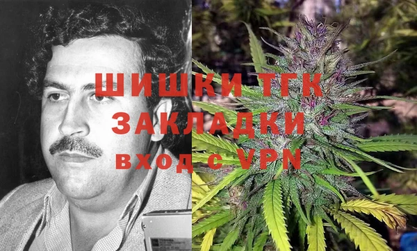 гашик Алексеевка